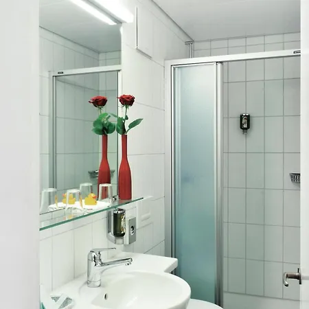 호텔 Sorell Arabelle 베른